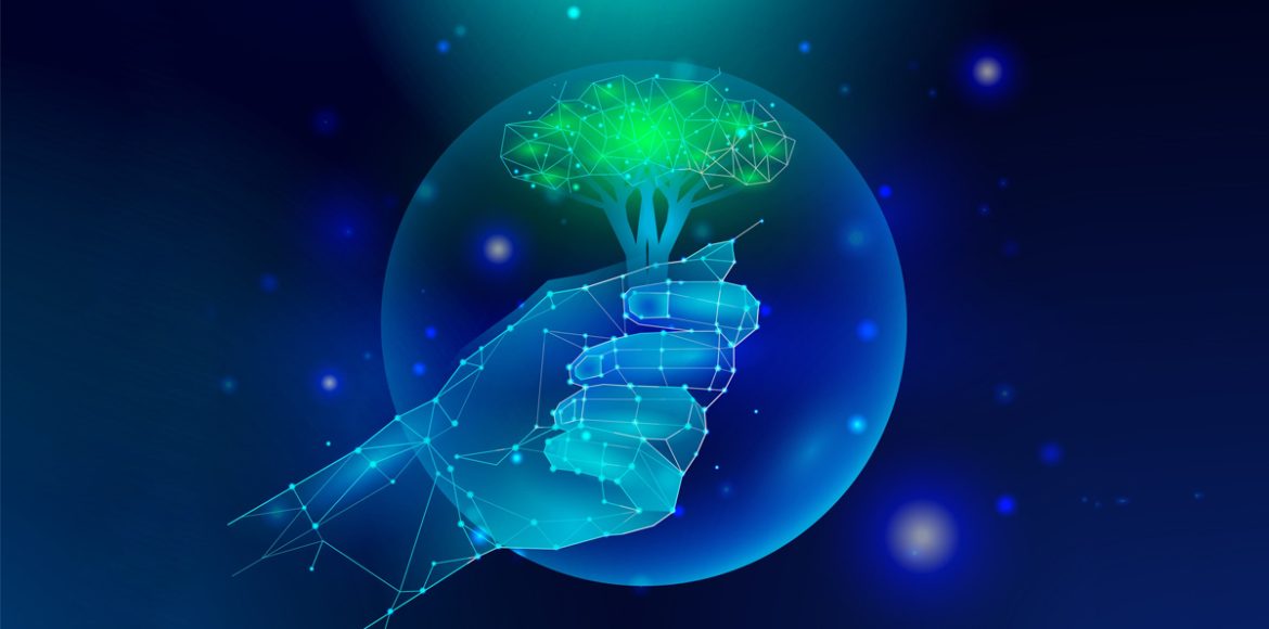 Qwatt IoT Time Switches for Sustainable Tomorrow sustainable light automation